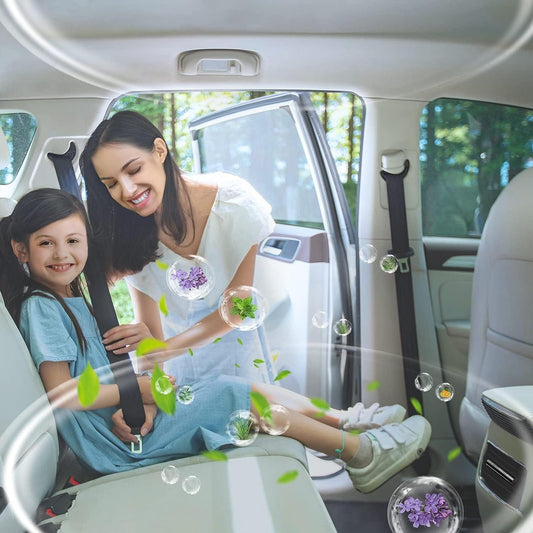 Car Air Fresheners Clip Set with 5 Essential Oil Scents(10Ml Each) 12 Refill Sticks  ebasketonline