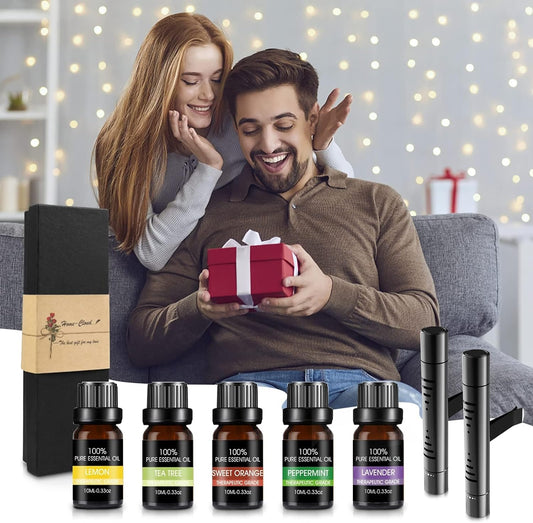 Car Air Fresheners Clip Set with 5 Essential Oil Scents(10Ml Each) 12 Refill Sticks  ebasketonline
