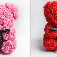 Valentine's Day Gift Rose Bear Eternal Flower Rose Teddy Bear PE Foam Bear 25cm Valentines Day Gifts CJ Red set2