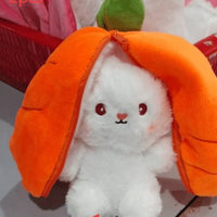 Wanghong Cute Strawberry Rabbit Doll Plush Toy with Transforming Feature Accessories CJ Carrot 18cm 2PCS