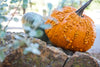 Get Spooktacular with Outdoor Halloween Decorations! ebasketonline
