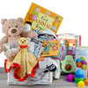 Grand Welcome: Baby Boy Gift Basket