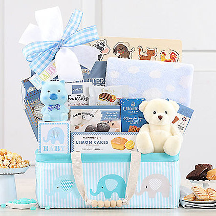 Bundle of Joy: Baby Boy Gift Basket