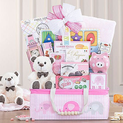 Bundle of Joy: Baby Girl Gift Basket