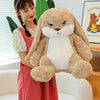 New Lost Rabbit Pillow Plush Toy: Huggable Comfort for Every Child