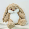 New Lost Rabbit Pillow Plush Toy: Huggable Comfort for Every Child