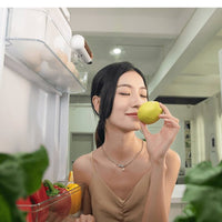 Odor Eliminator, Sterilizer, and Refrigerator Freshness Preserver