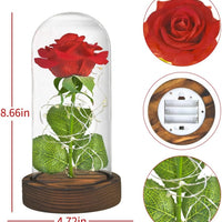 Preserved Rose Enchanted Rose Red Silk Rose in Glass Dome with LED Lights  for Valentines Day