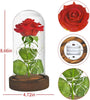 Preserved Rose Enchanted Rose Red Silk Rose in Glass Dome with LED Lights  for Valentines Day