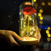 Preserved Rose Enchanted Rose Red Silk Rose in Glass Dome with LED Lights  for Valentines Day