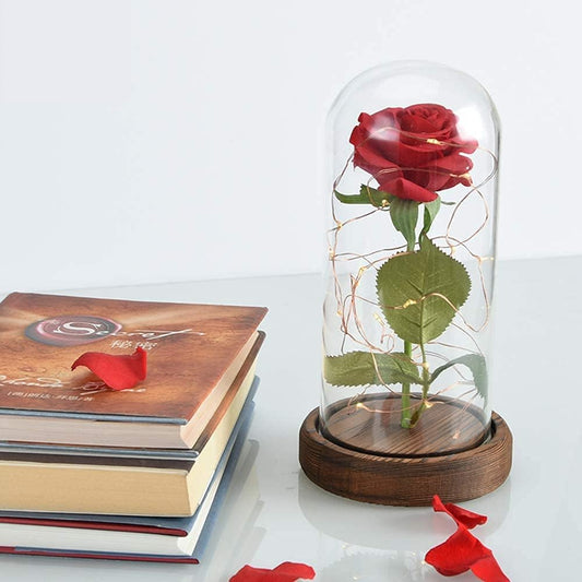 Preserved Rose Enchanted Rose Red Silk Rose in Glass Dome with LED Lights  for Valentines Day