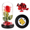 Rose Flower Gifts for Women 20 LED Light up Rose in Glass Dome Christmas Gifts