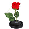 Rose Flower Gifts for Women 20 LED Light up Rose in Glass Dome Christmas Gifts