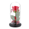 Rose Flower Gifts for Women 20 LED Light up Rose in Glass Dome Christmas Gifts