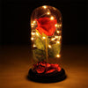 Rose Flower Gifts for Women 20 LED Light up Rose in Glass Dome Christmas Gifts