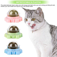 Edible Catnip Ball Toys for Teeth Cleaning (3 Pack)