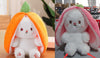 Wanghong Cute Strawberry Rabbit Doll Plush Toy with Transforming Feature Accessories CJ Set2 25cm and 18cm 1PC