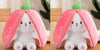 Wanghong Cute Strawberry Rabbit Doll Plush Toy with Transforming Feature Accessories CJ Set4 25cm and 35cm 1PC
