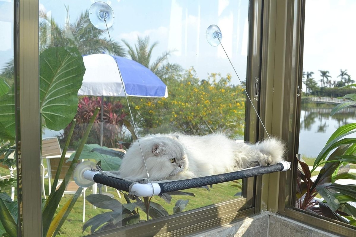 Window-Mounted Cat Perch: Sunny Seat, Safety, and Space-Saving Cat Hammock  Amz Black  